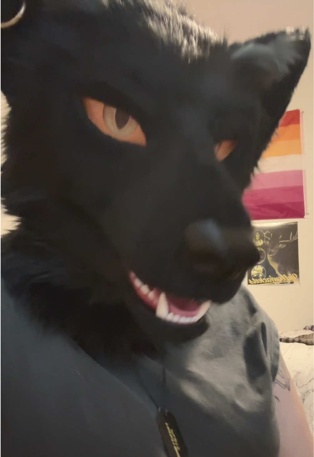 @bloomingcaracal