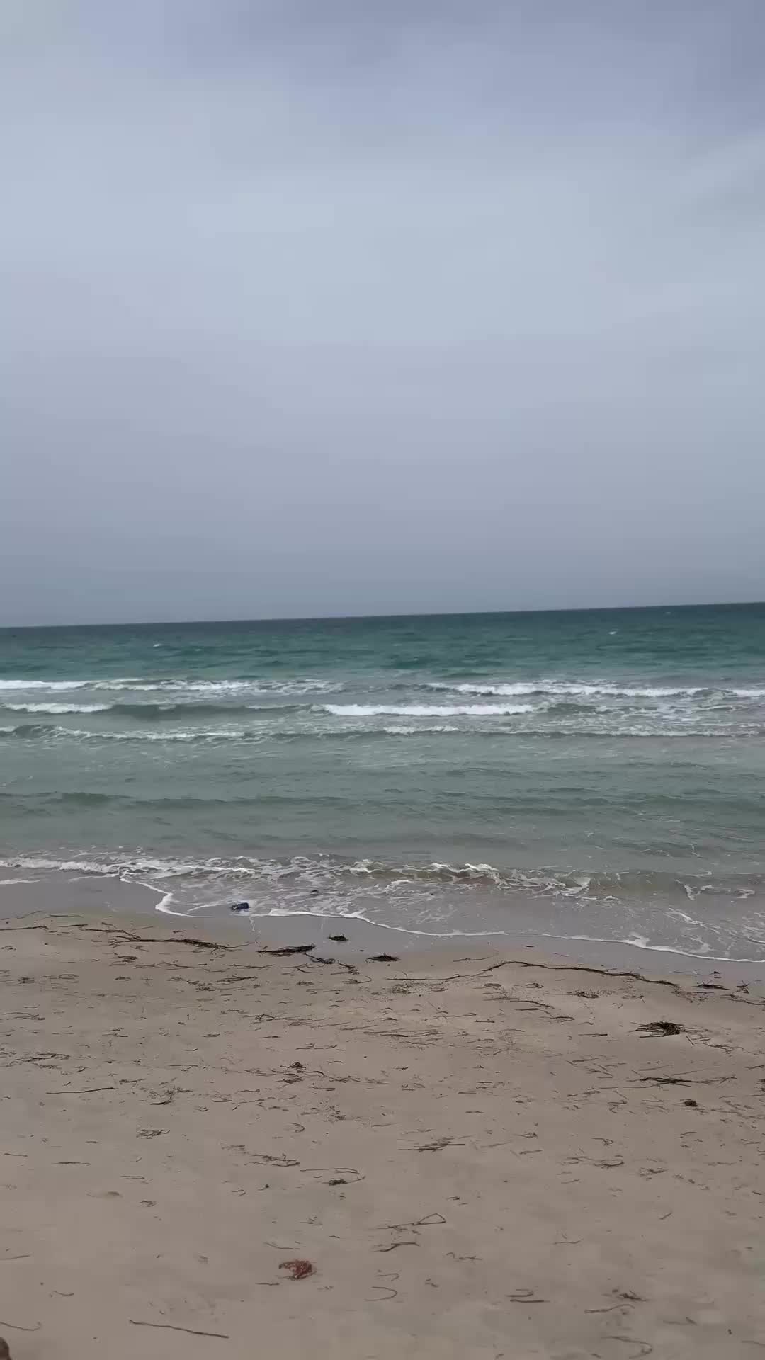 @همام ابوصيده ابوصيده