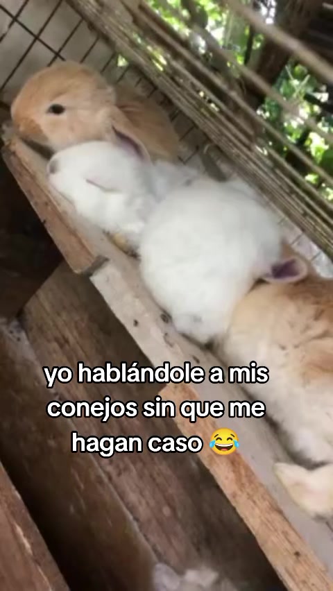 @Mar