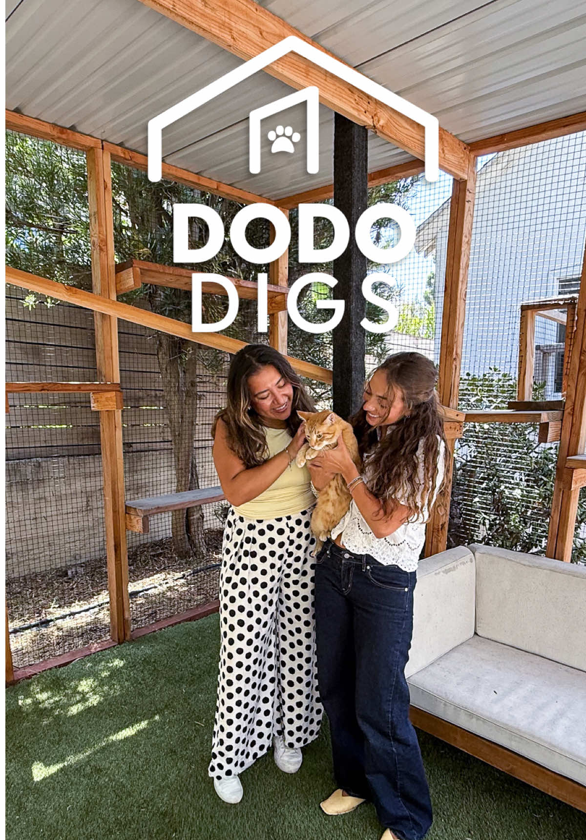 @The Dodo
