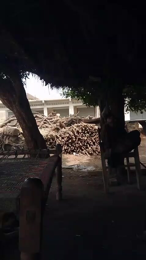 @zanwar