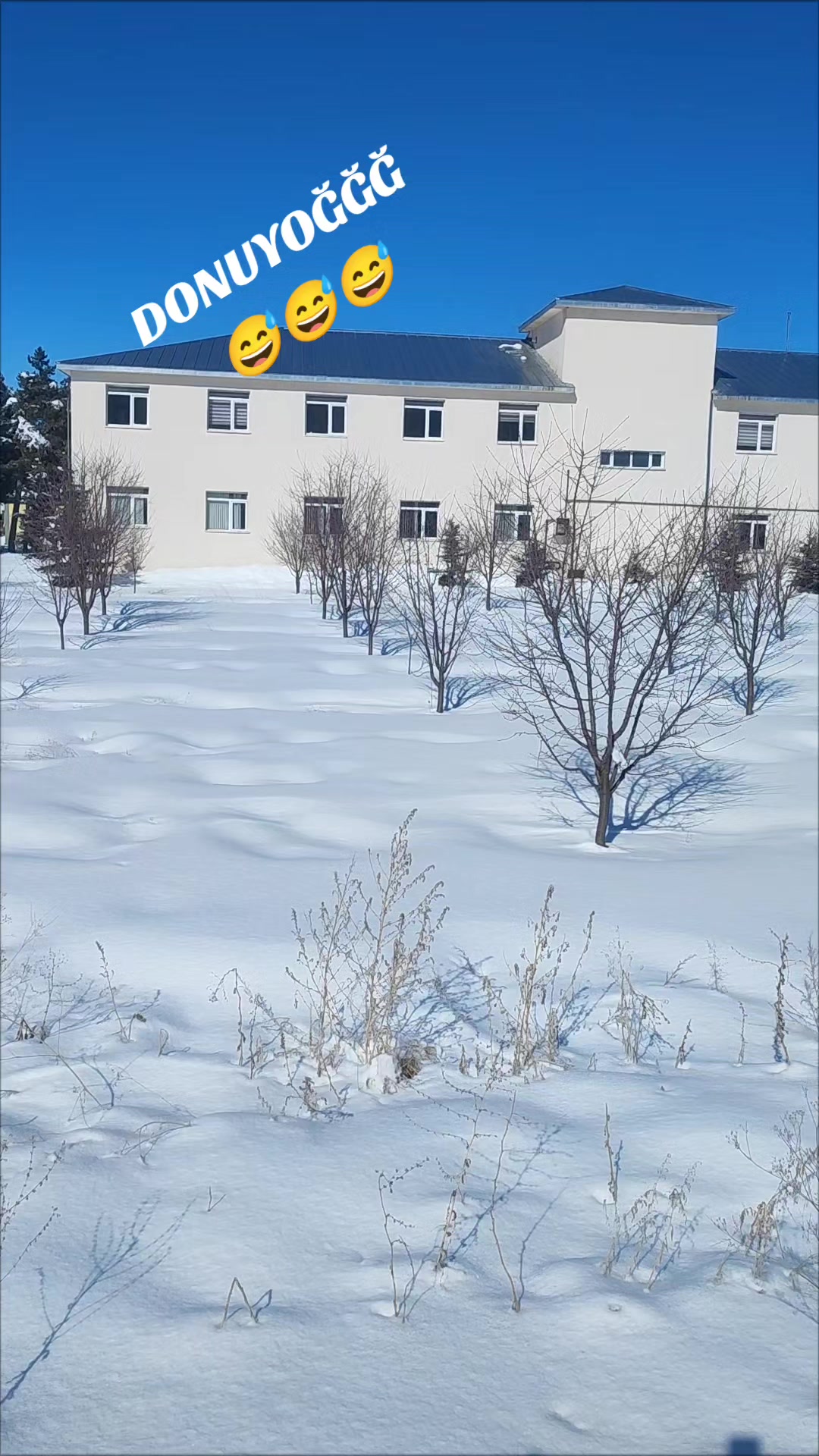 @YSF._R1