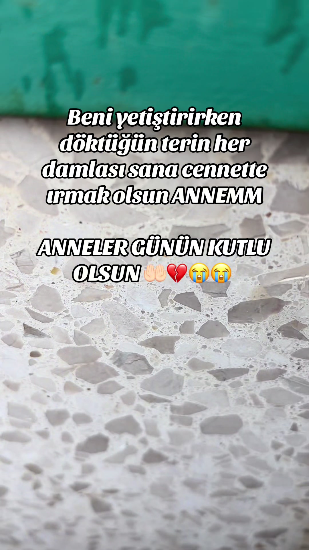 @papatya_65