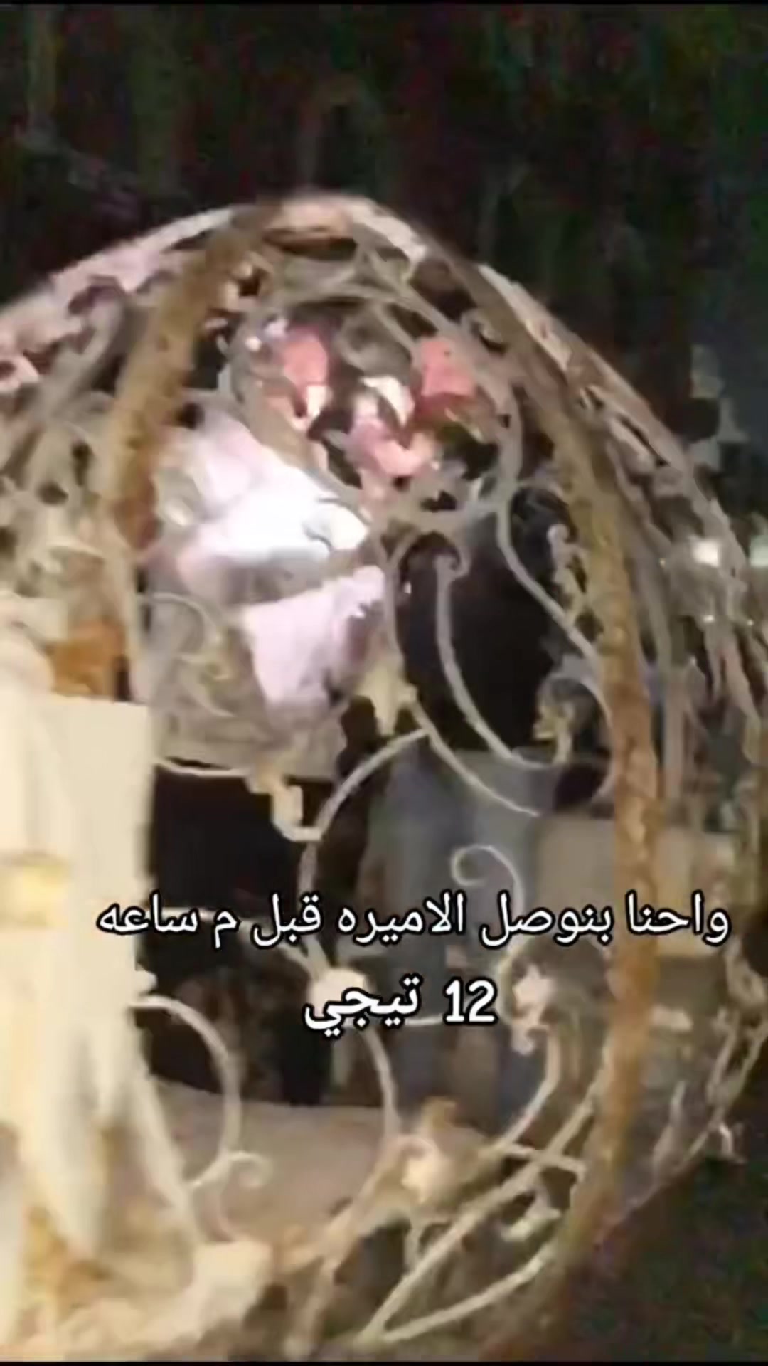 @Youssef fo2ad