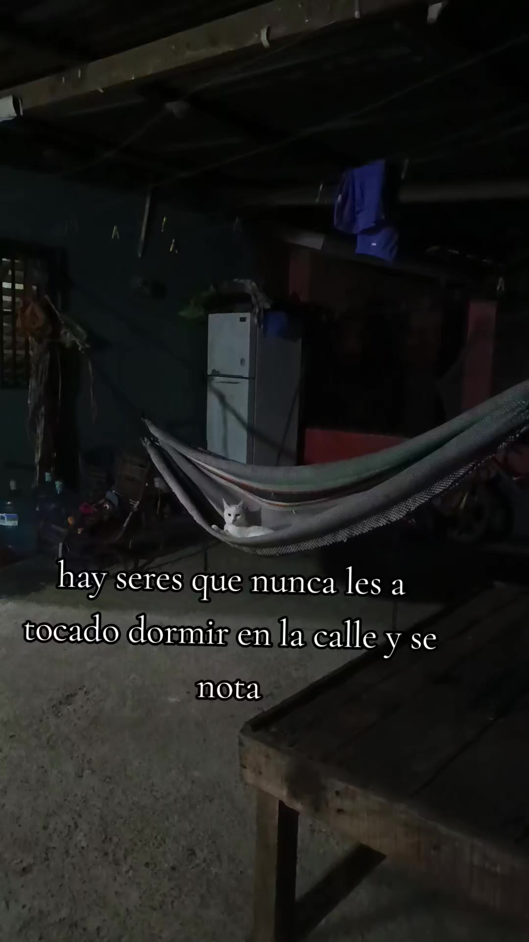@Rosas_Nia D.I.🌹
