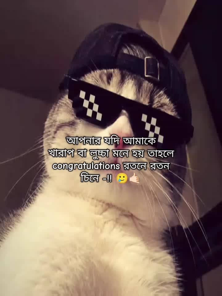 @⏤♡Ƒ&alpha;&eta;в&sigma;у_Ѕ&alpha;zz&alpha;&part;_⁉️💢