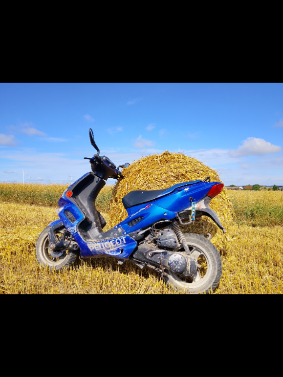 @🌾Michał🌾