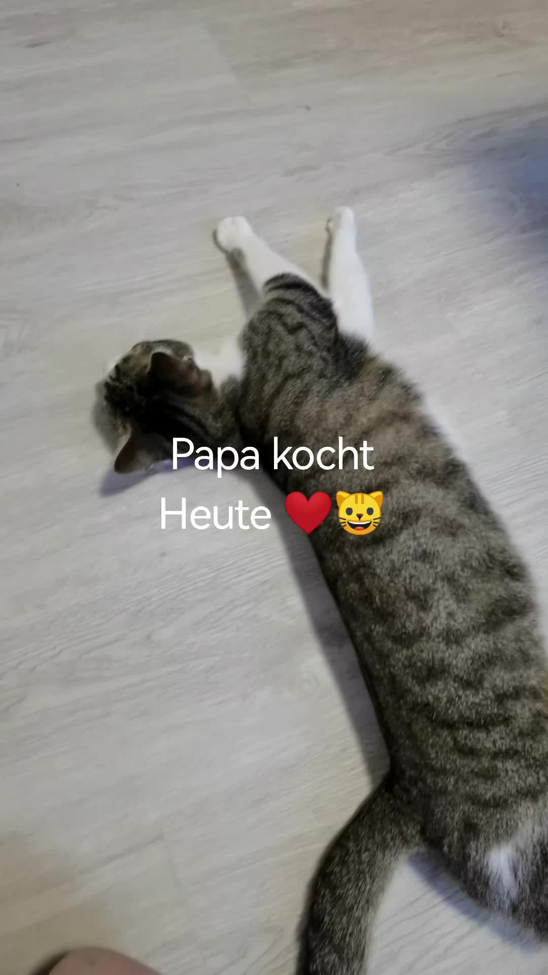 @juli🇩🇪🇺🇸🇷🇺