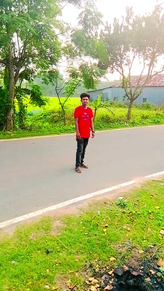 @Mofidul Islam