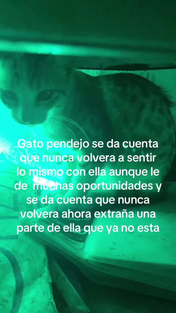 @Proyectadas_Lispk
