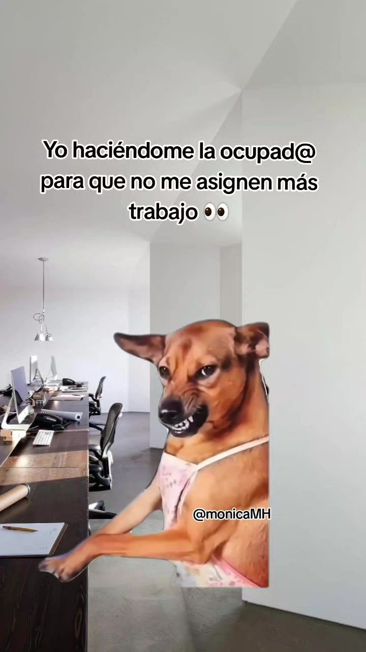 @Mónica MH
