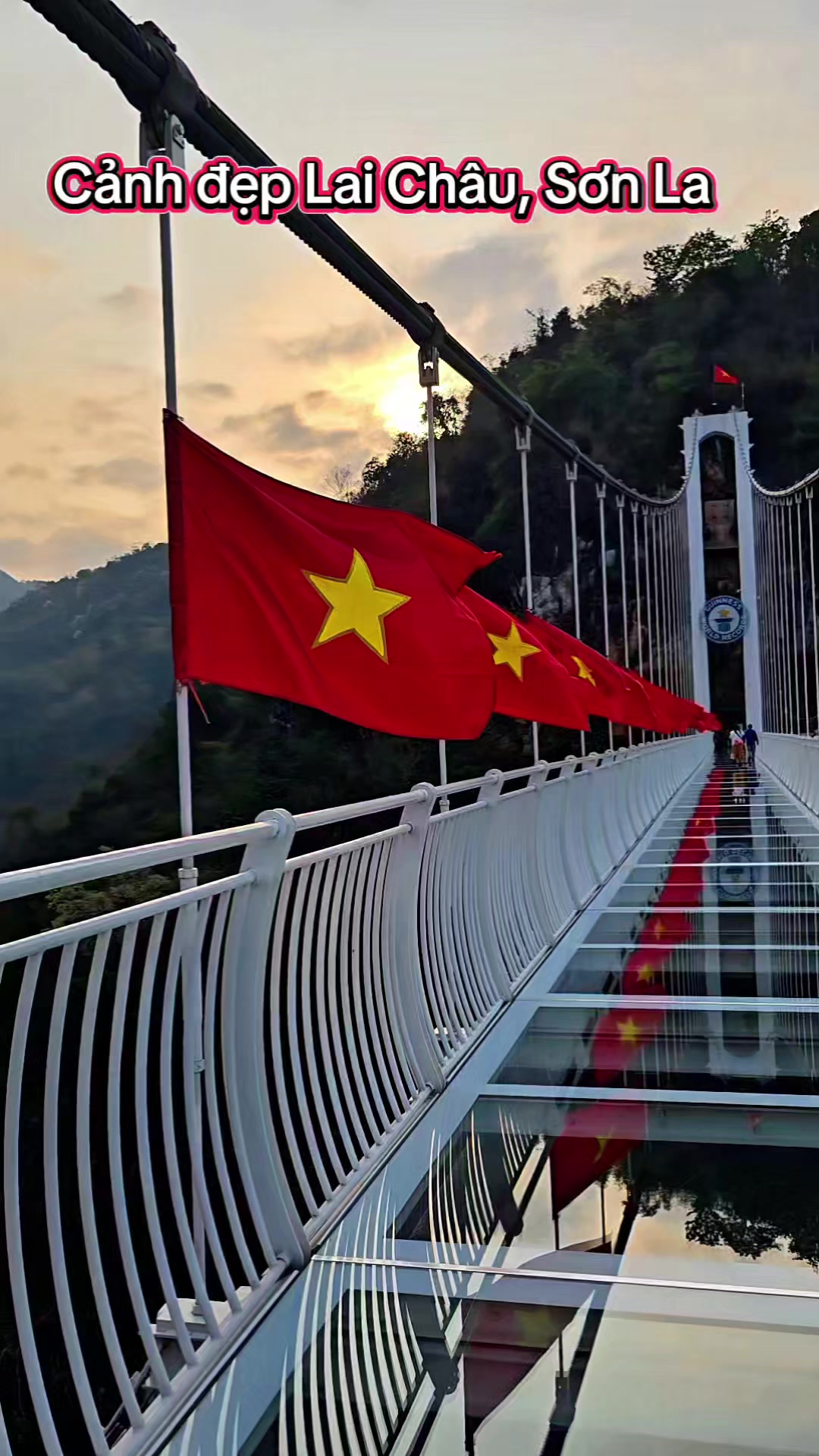 @Sen Hồng
