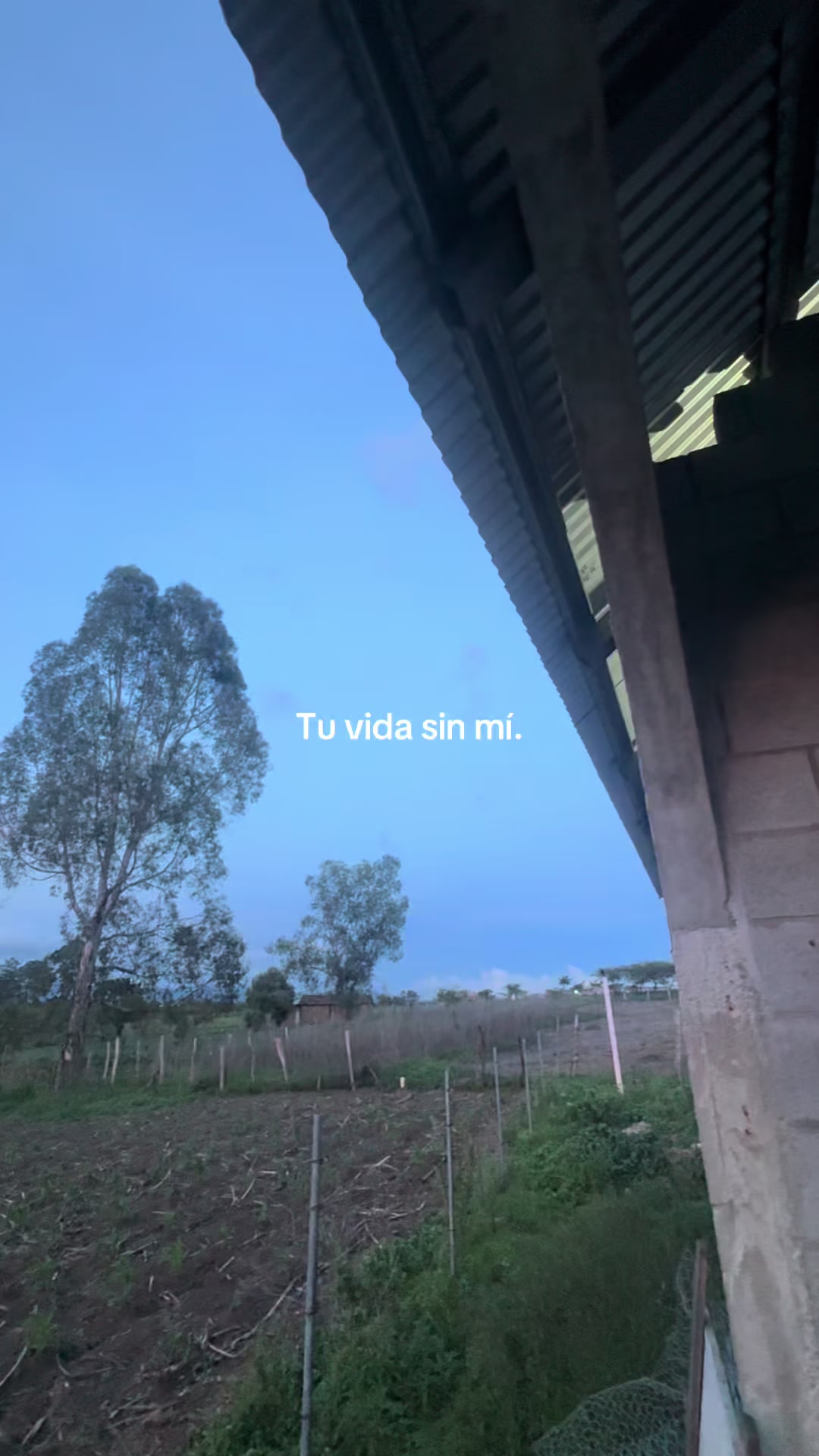 @🐈❤️PATRICIA_MICH!.😍🐈