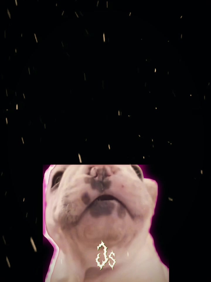 @โ
๐๐ต๐ฎ๐๐ฒ๐ผโ