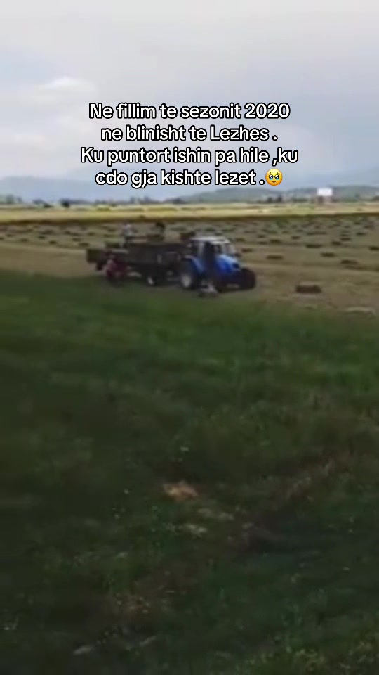 @AgroTradeAlbania
