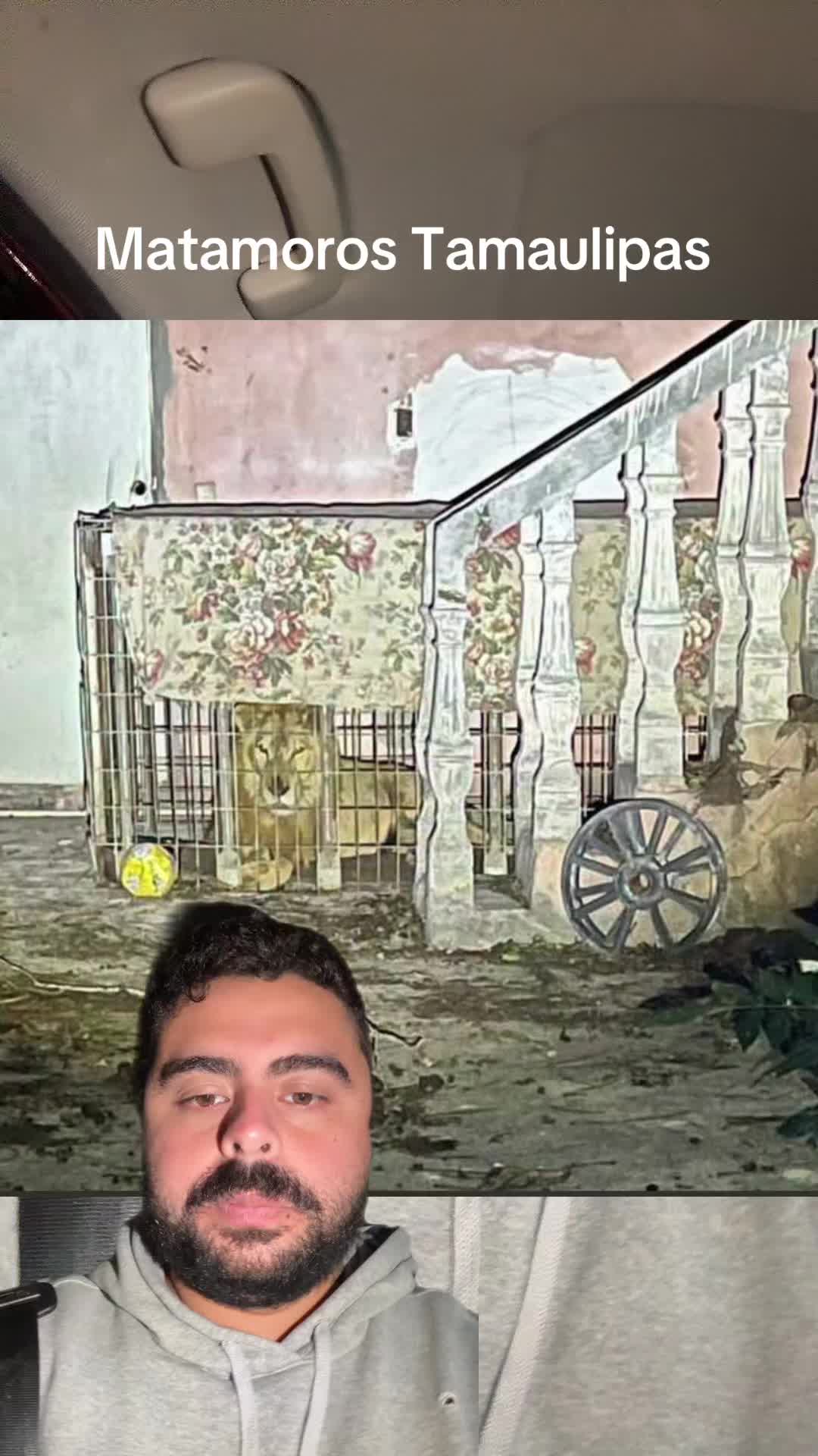 @Tito Pulga Saga