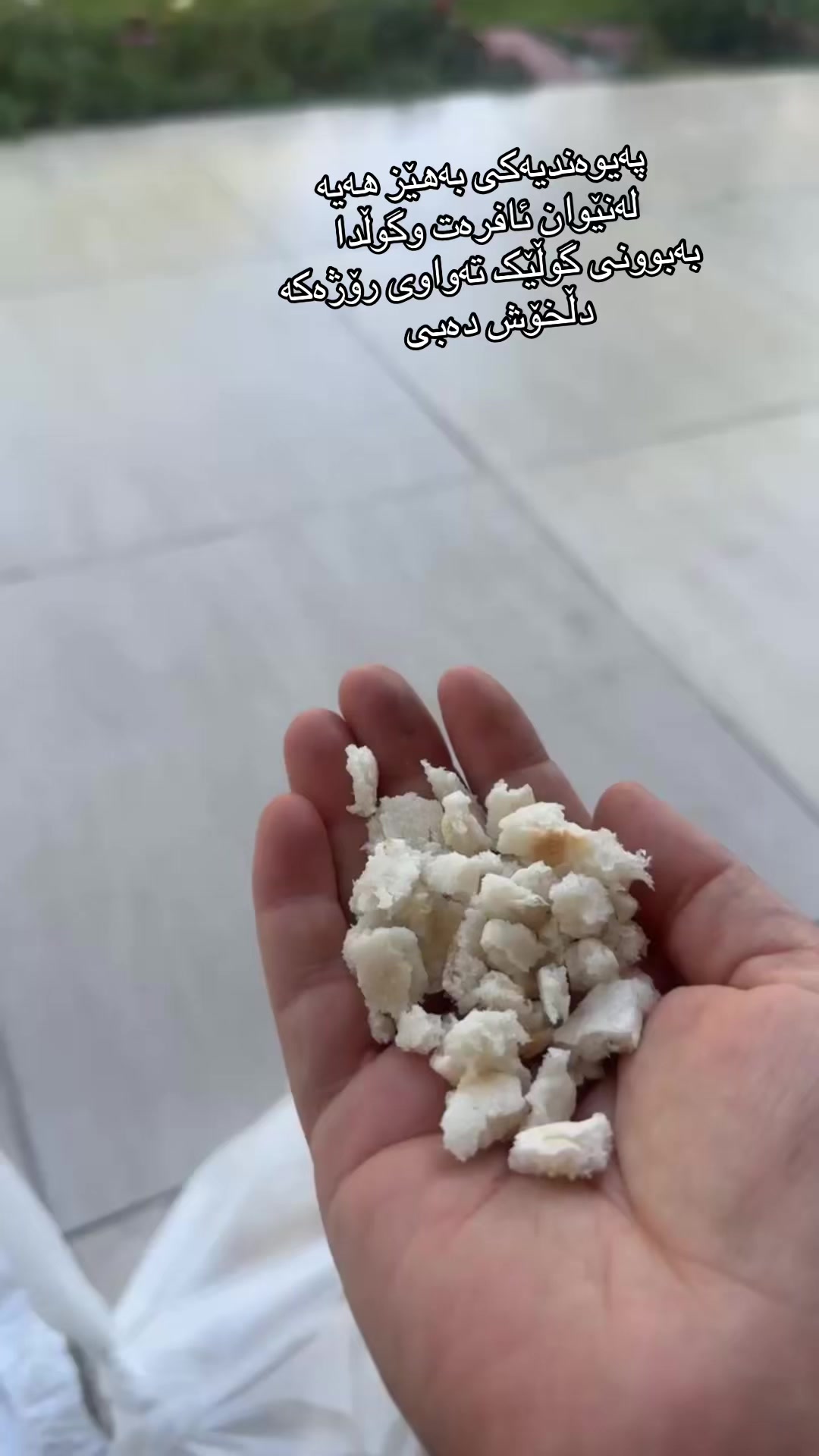 @𝐌α𐓣𝗀e 𝗌ɦαω🖤🌚