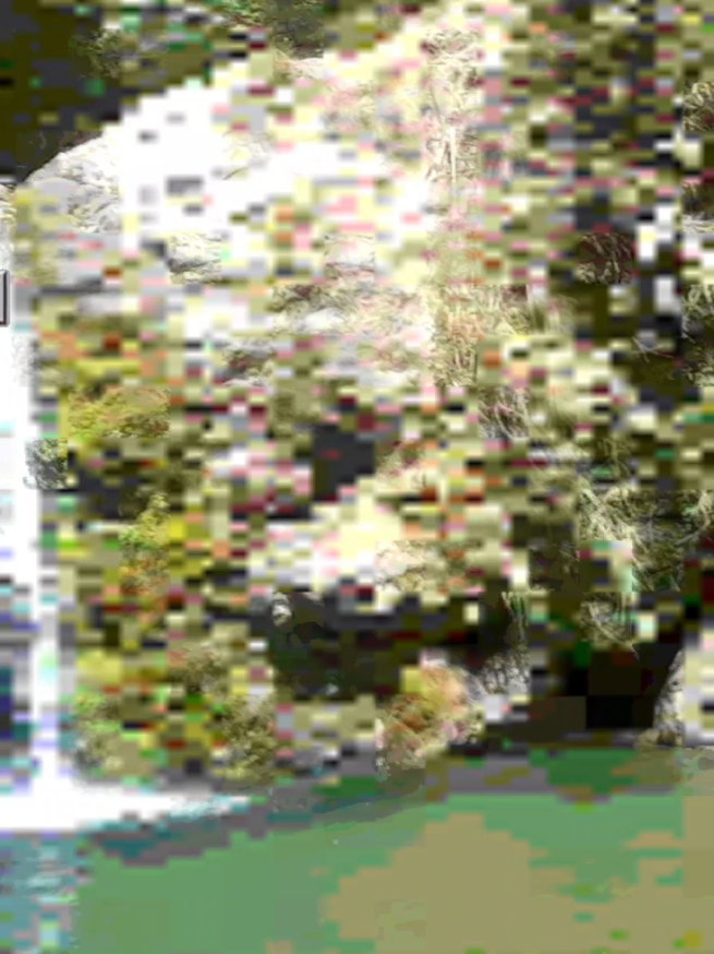 @&deg;&bull;★&dagger;&laquo;&rsaquo;N&oslash;elP&aring;j&ecirc;la 347&lsaquo;&raquo;&dagger;★&bull;&deg;
