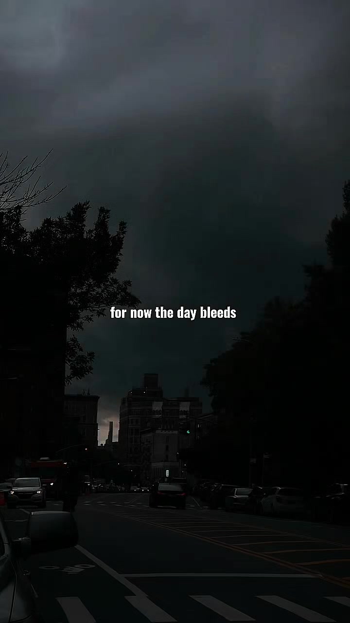 @&sup2;⁰⁶ VIBES 🎵🎧