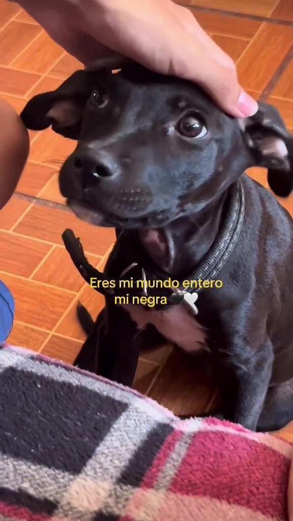 @Yami🍒