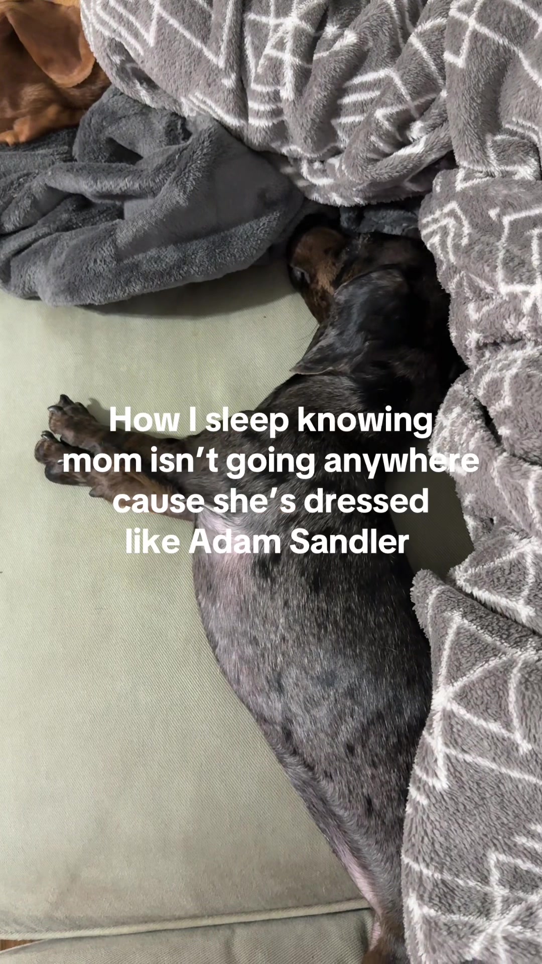 @Sarah and the Peanuts
