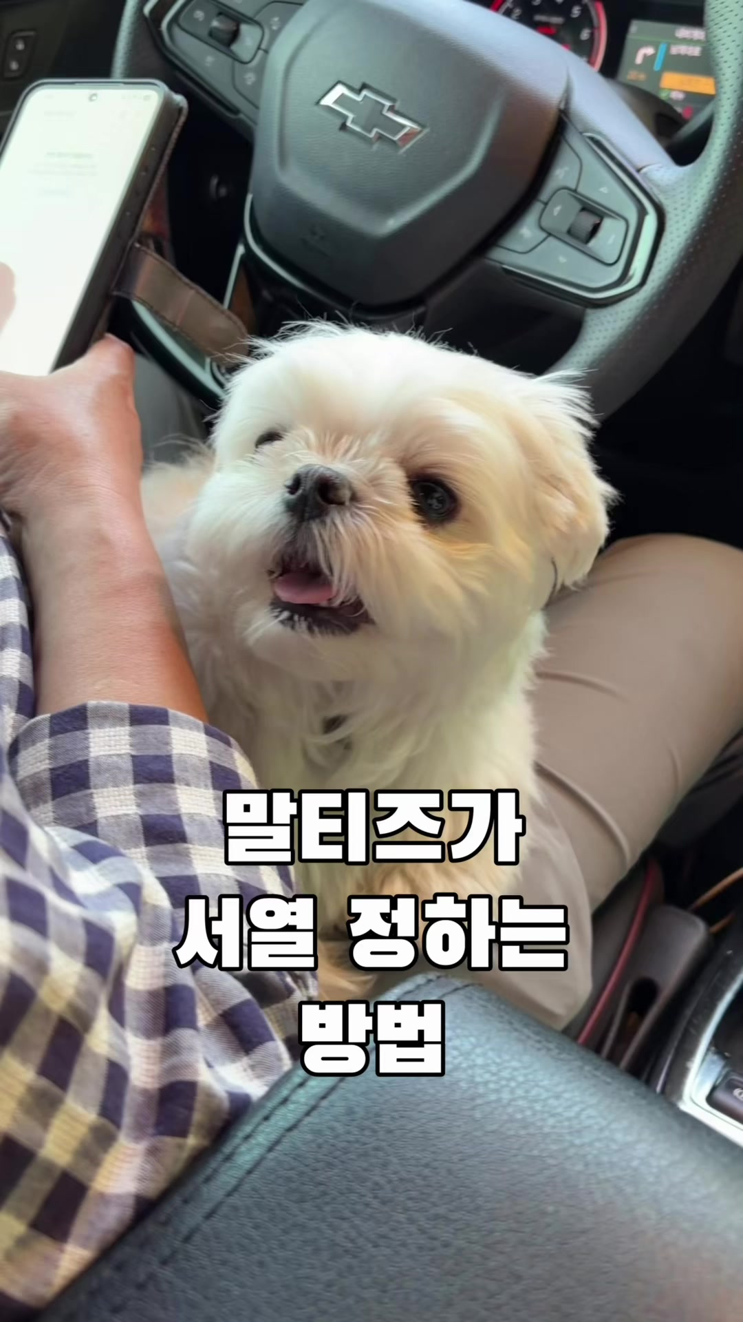 @박까까