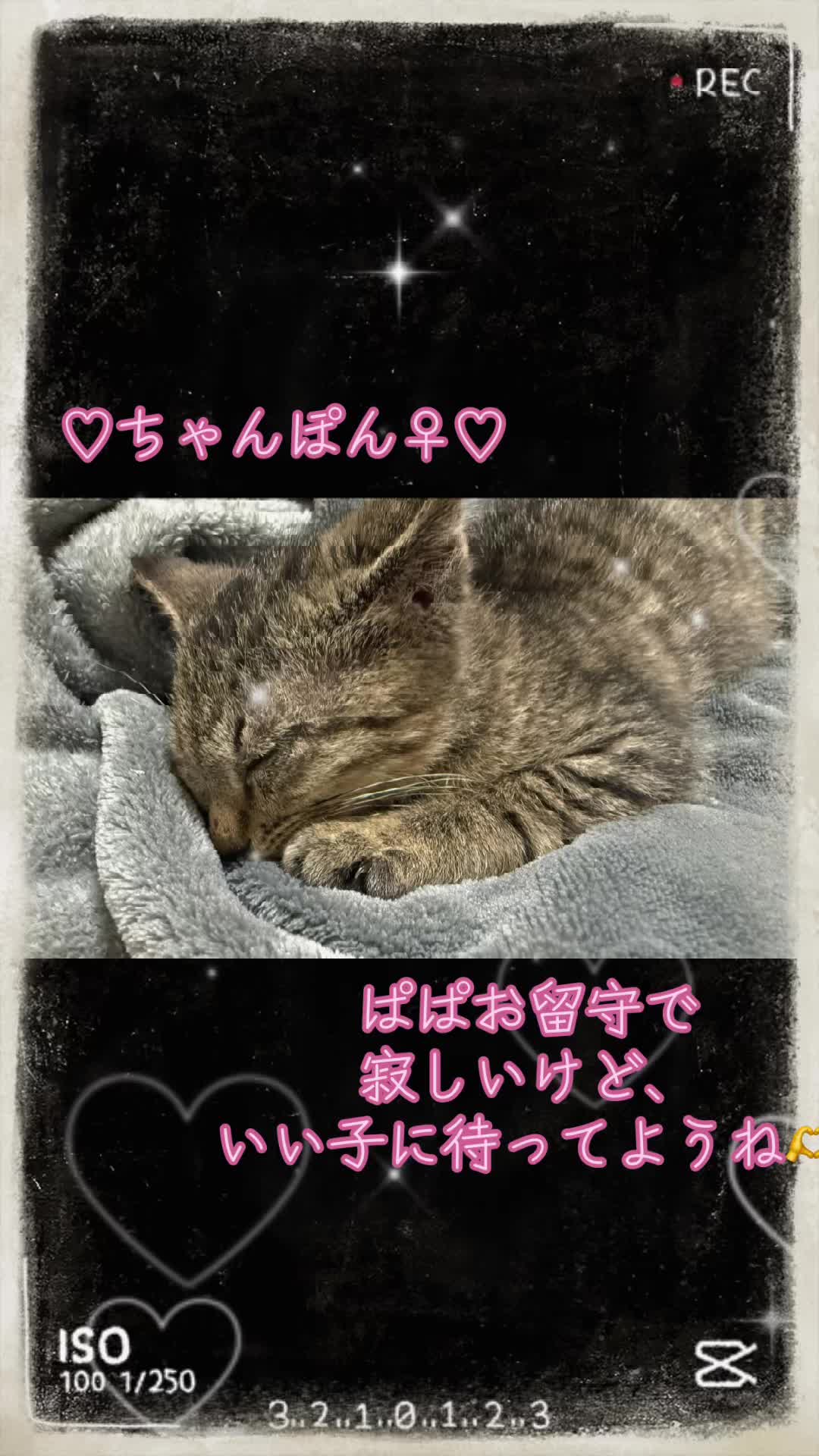 @🦊女帝あすか様🦊🗻☃️🥚🩷🐍