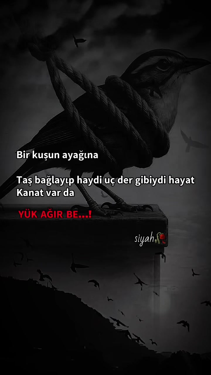 @𝗦𝗶𝘆𝗮𝗵🦋