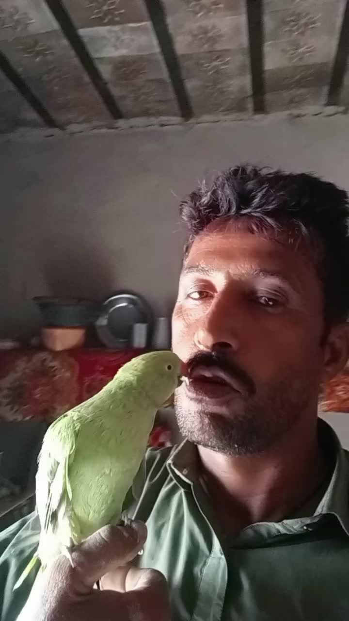 @جام نیاز