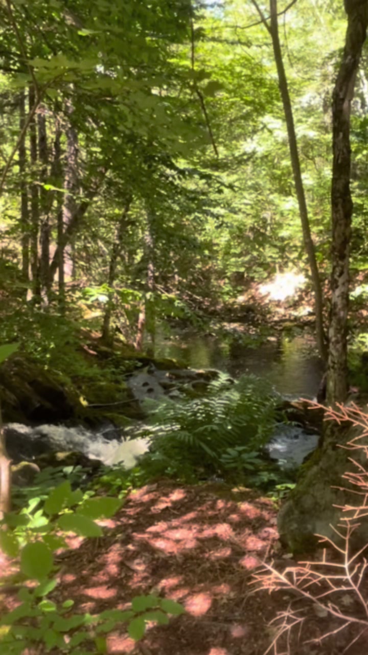 @NewTrailsOutThere