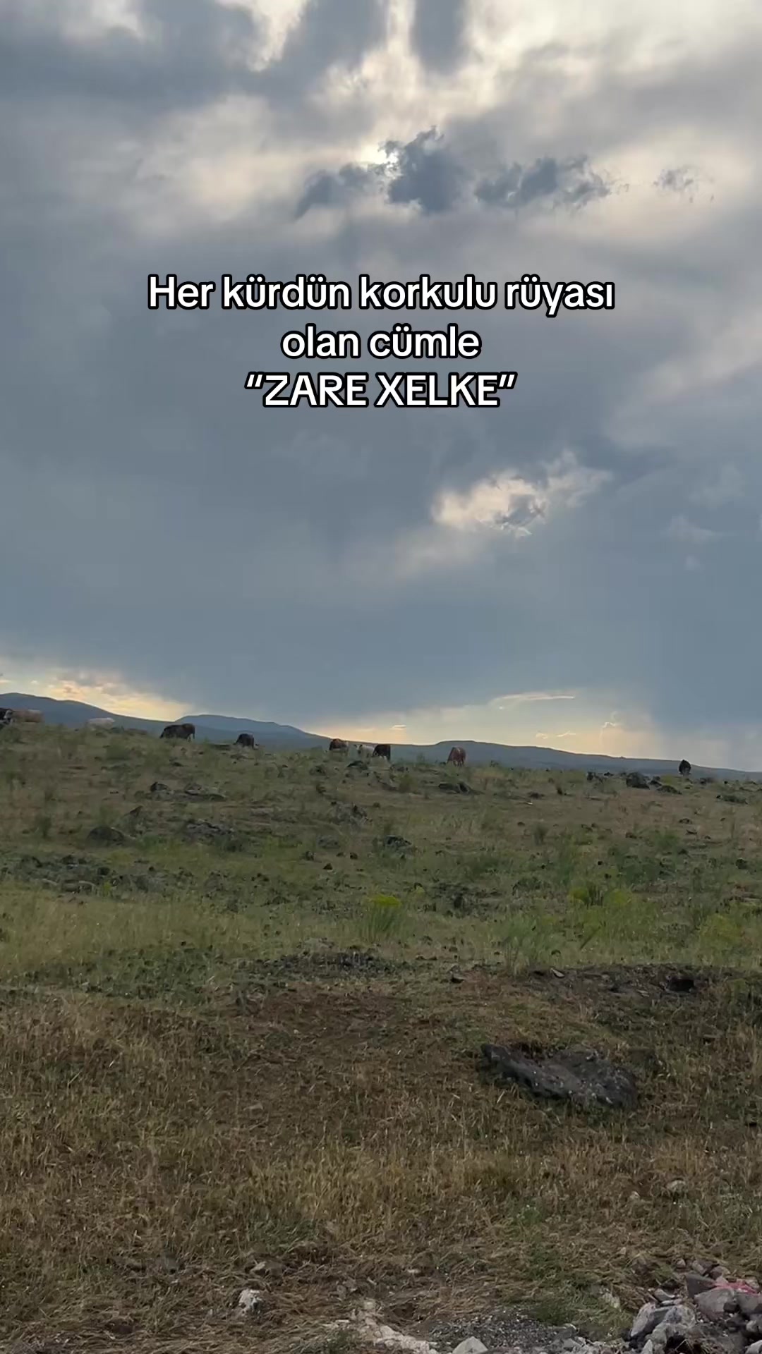 @Iğdır Storyyy