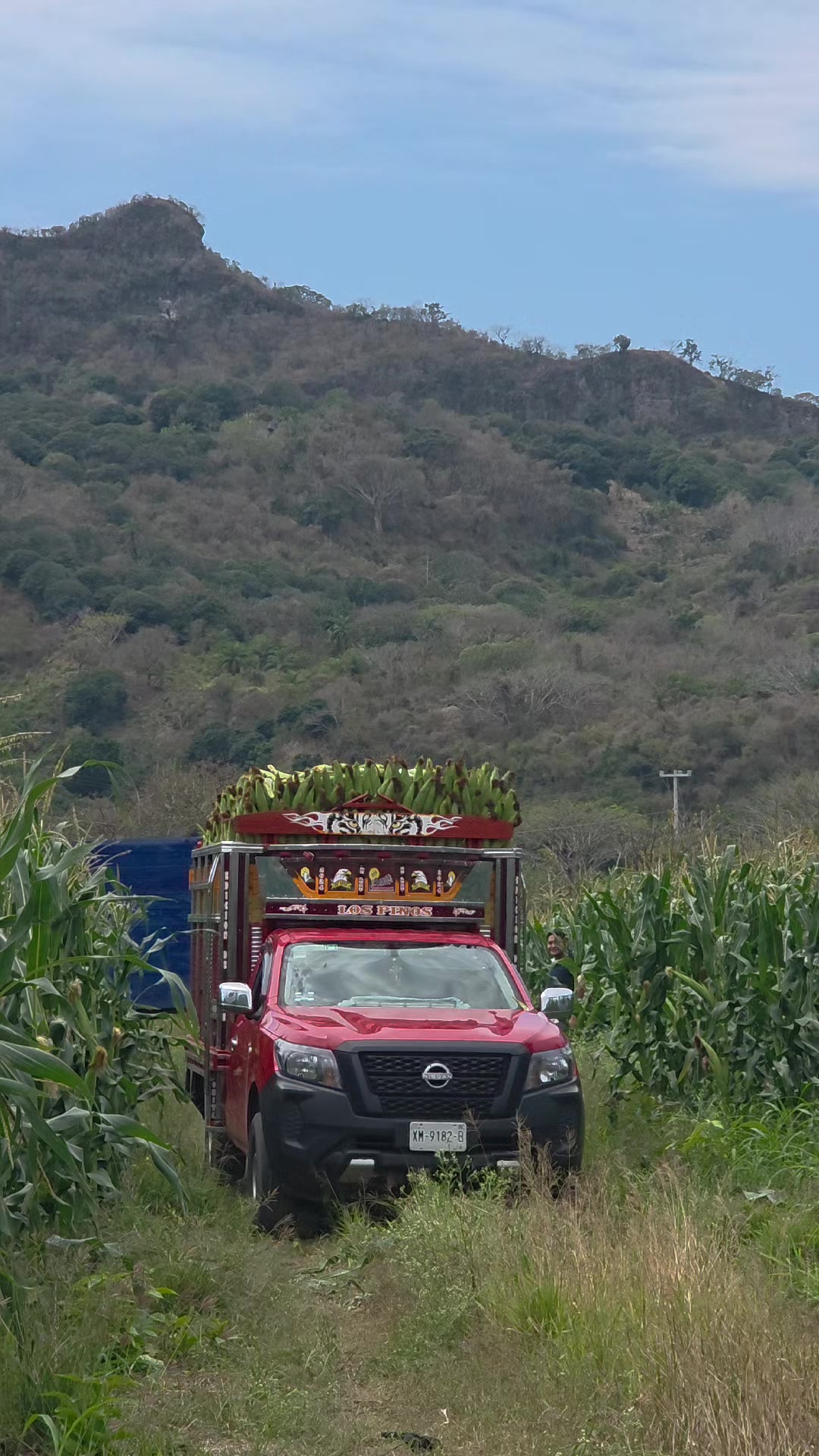 @Omar Rivera H 🌽🥔