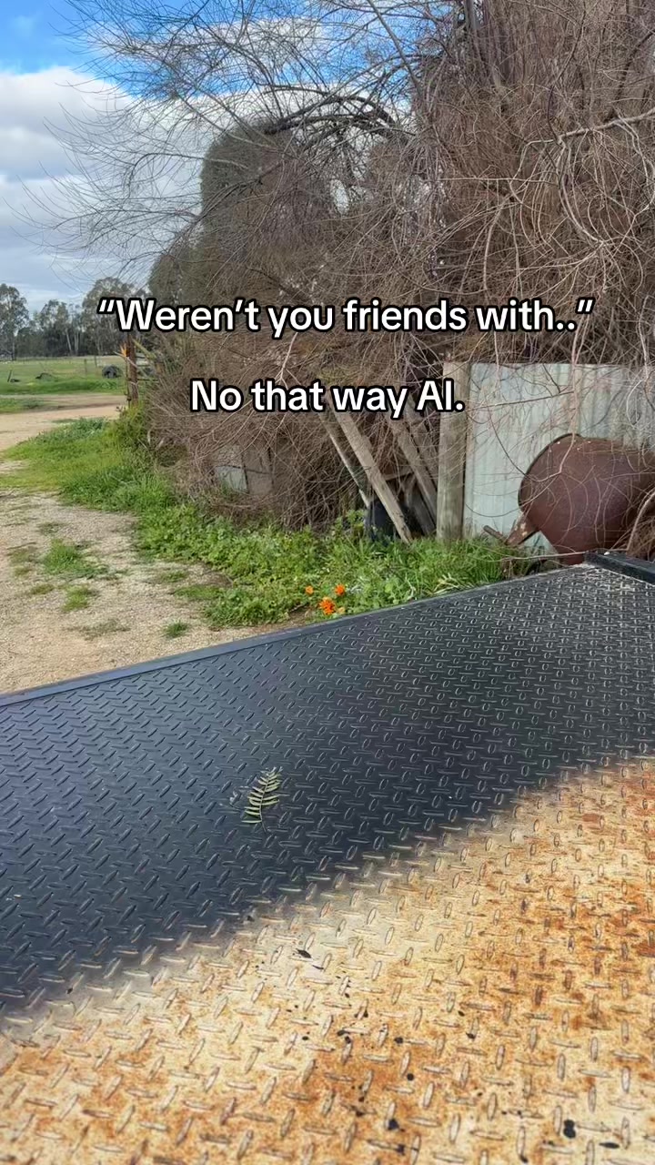 @•AYLA•