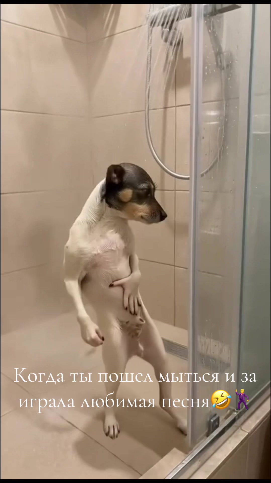 @катя1489