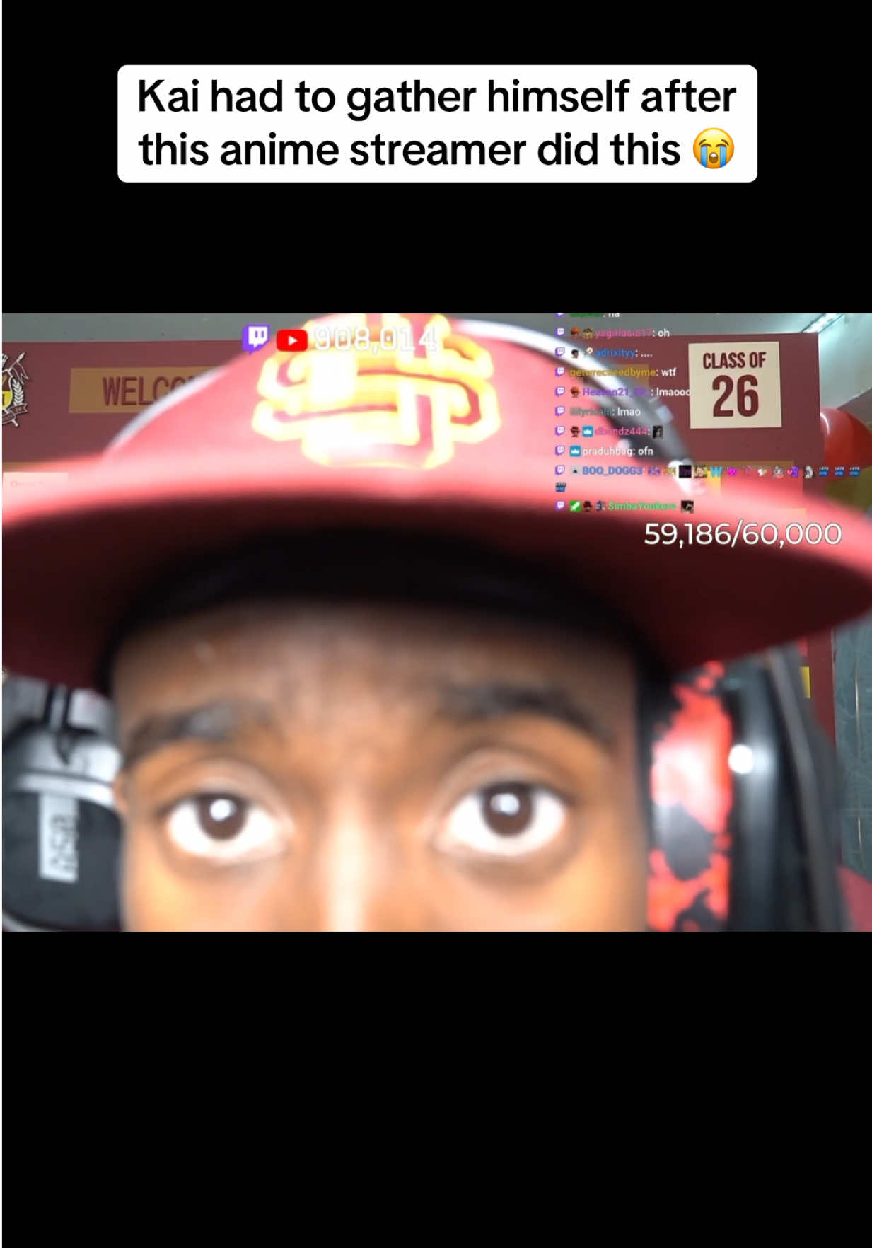 @Beezinthechat