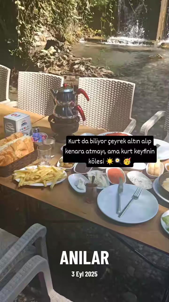 @Ay_sen