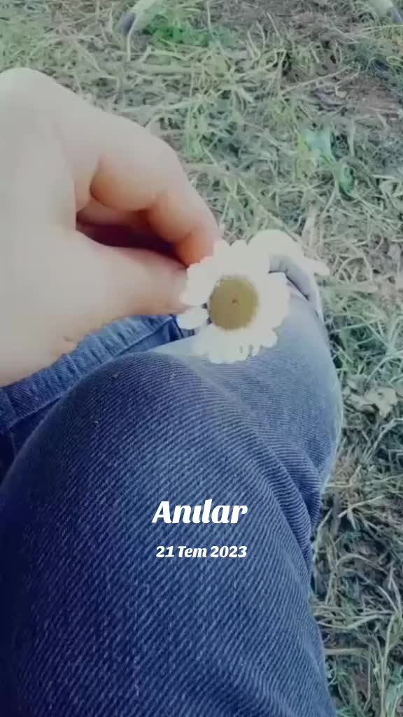 @🌼🌼NİHAL🌼🌼