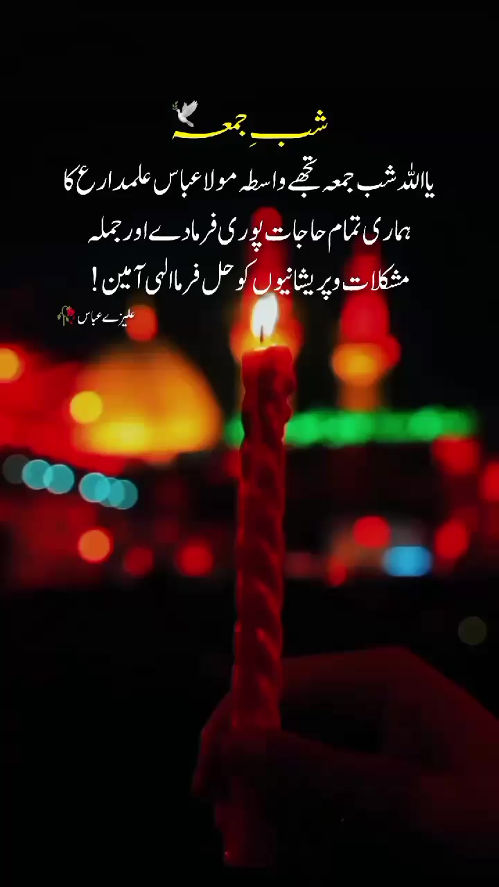 @𝓐𝓵𝓲 𝓦𝓻𝓲𝓽𝓮𝓼 ٣١٣