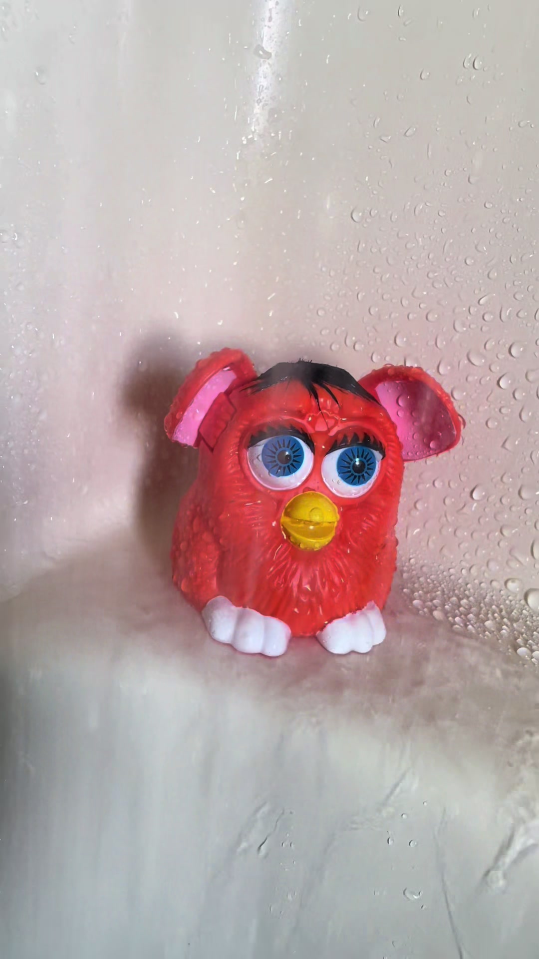 @Sad Furbytok