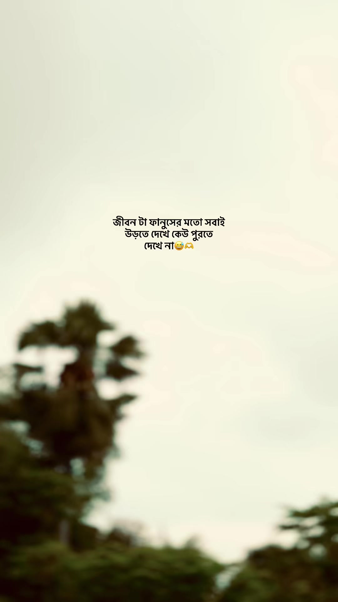 @S i F a T đ¸ī¸đī¸