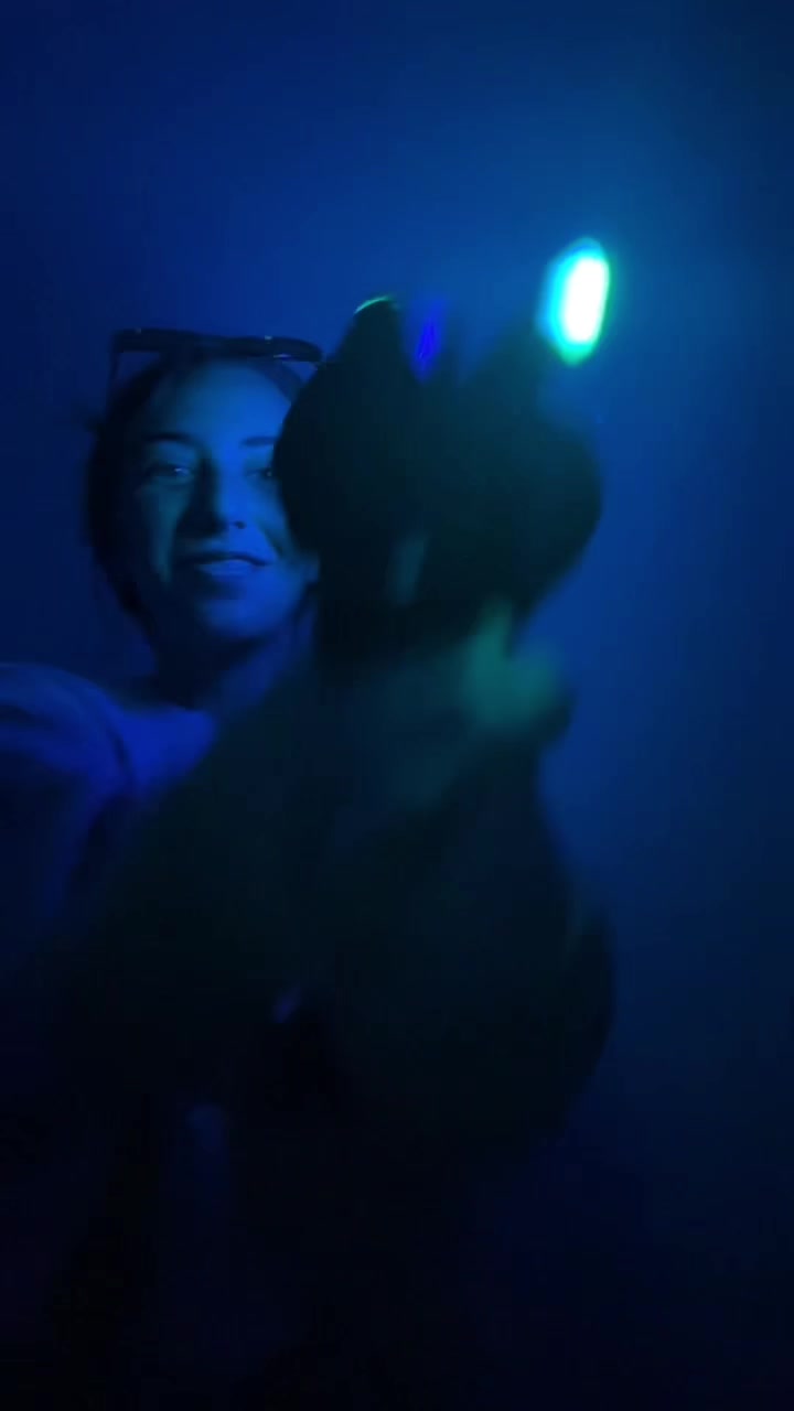 @bella biebes