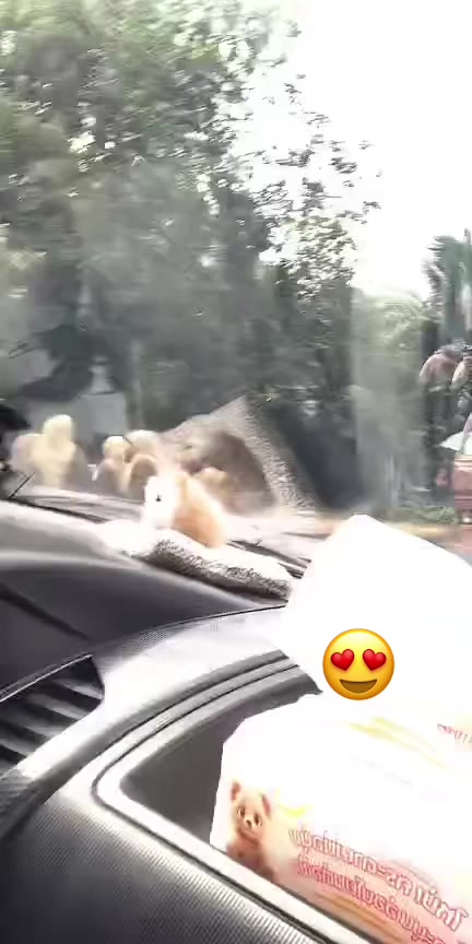 @นูรีซัน นรา