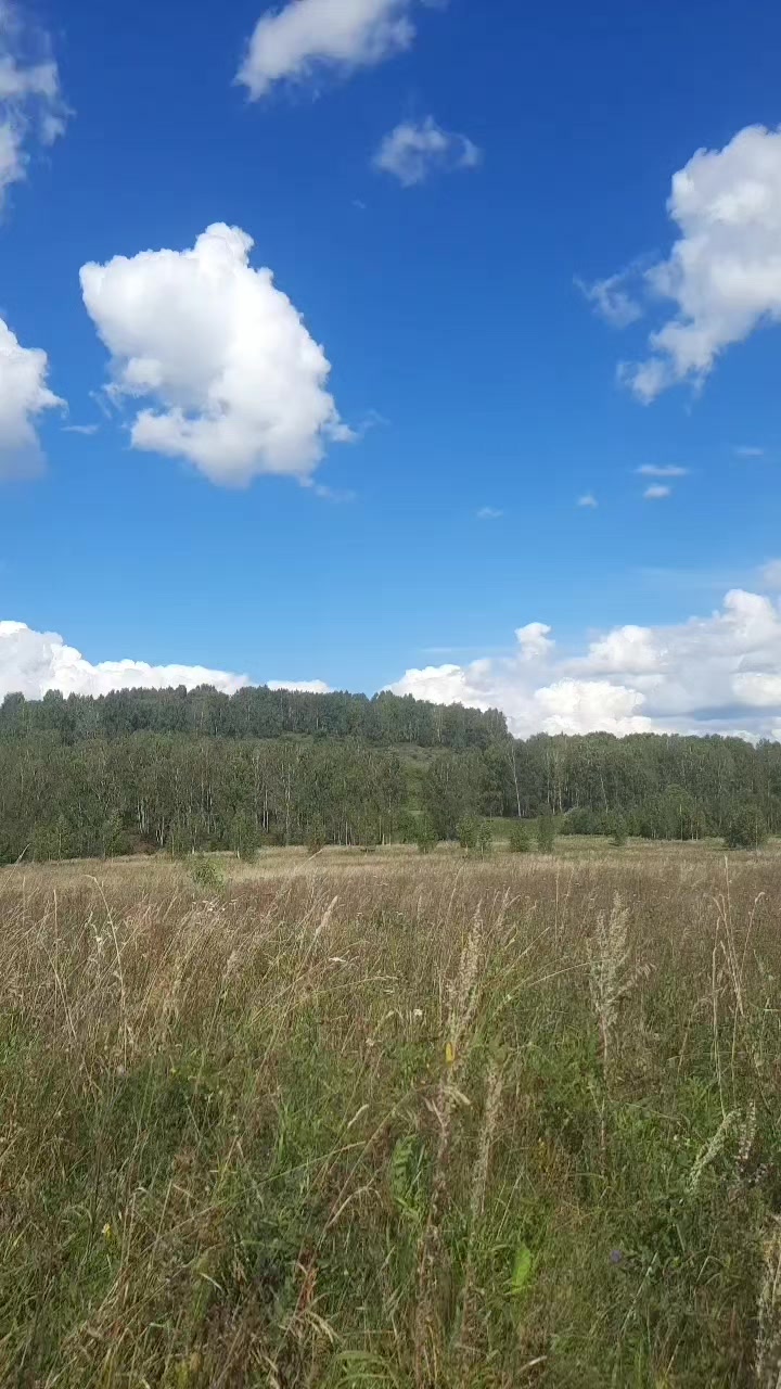 @Ляля