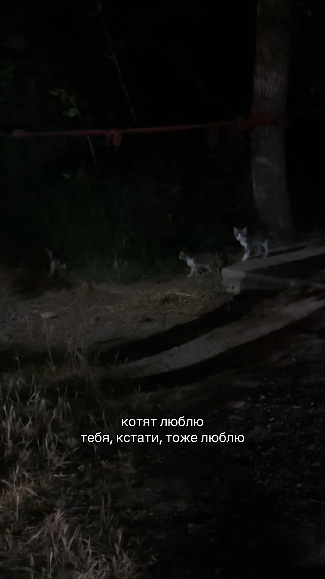 @12:12