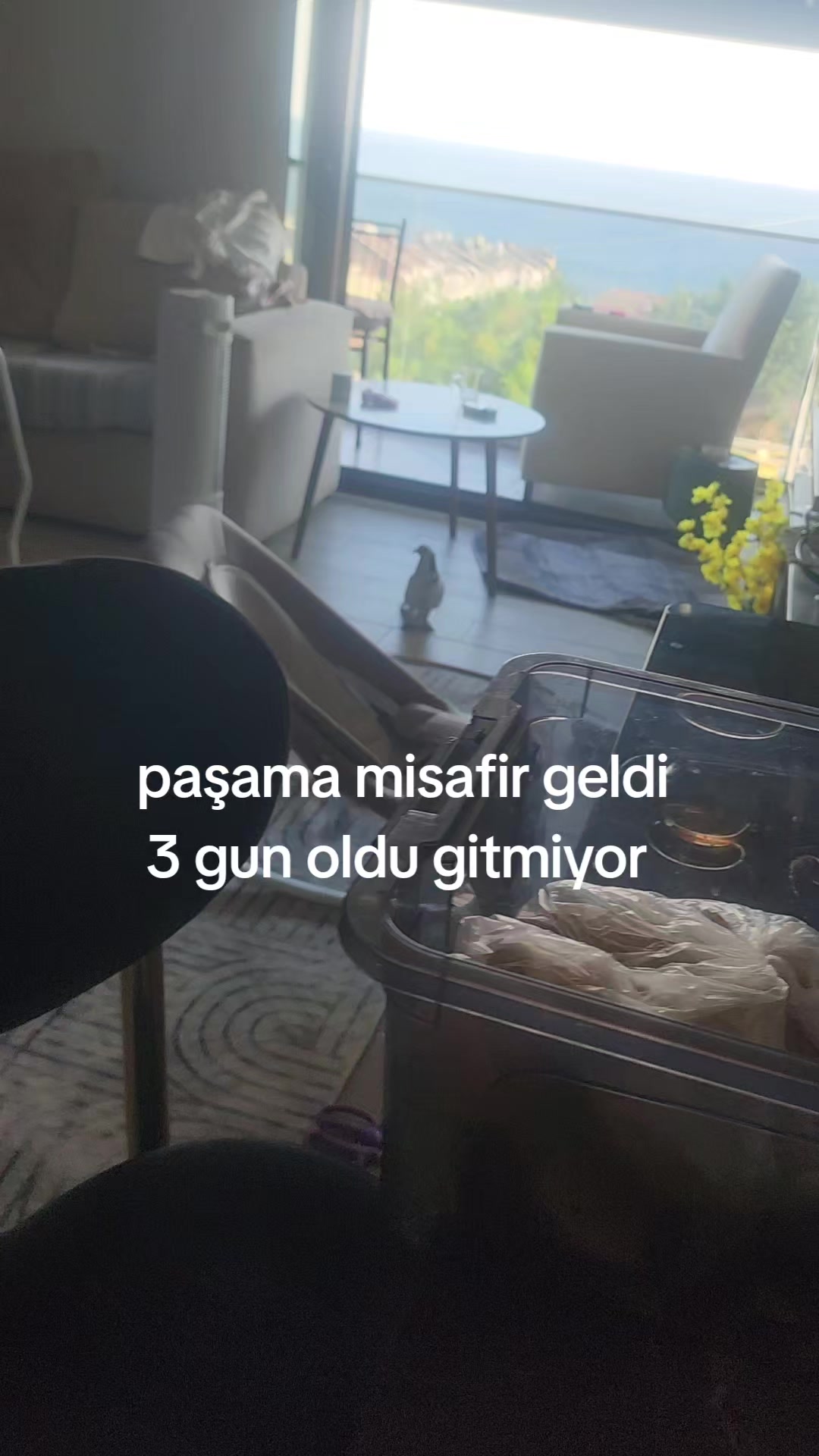 @babasının paşası