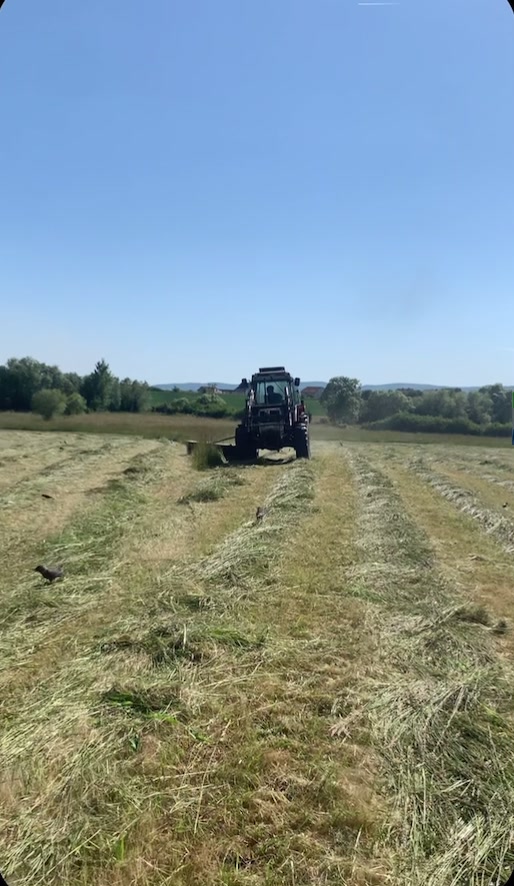 @-softolli.farmers -