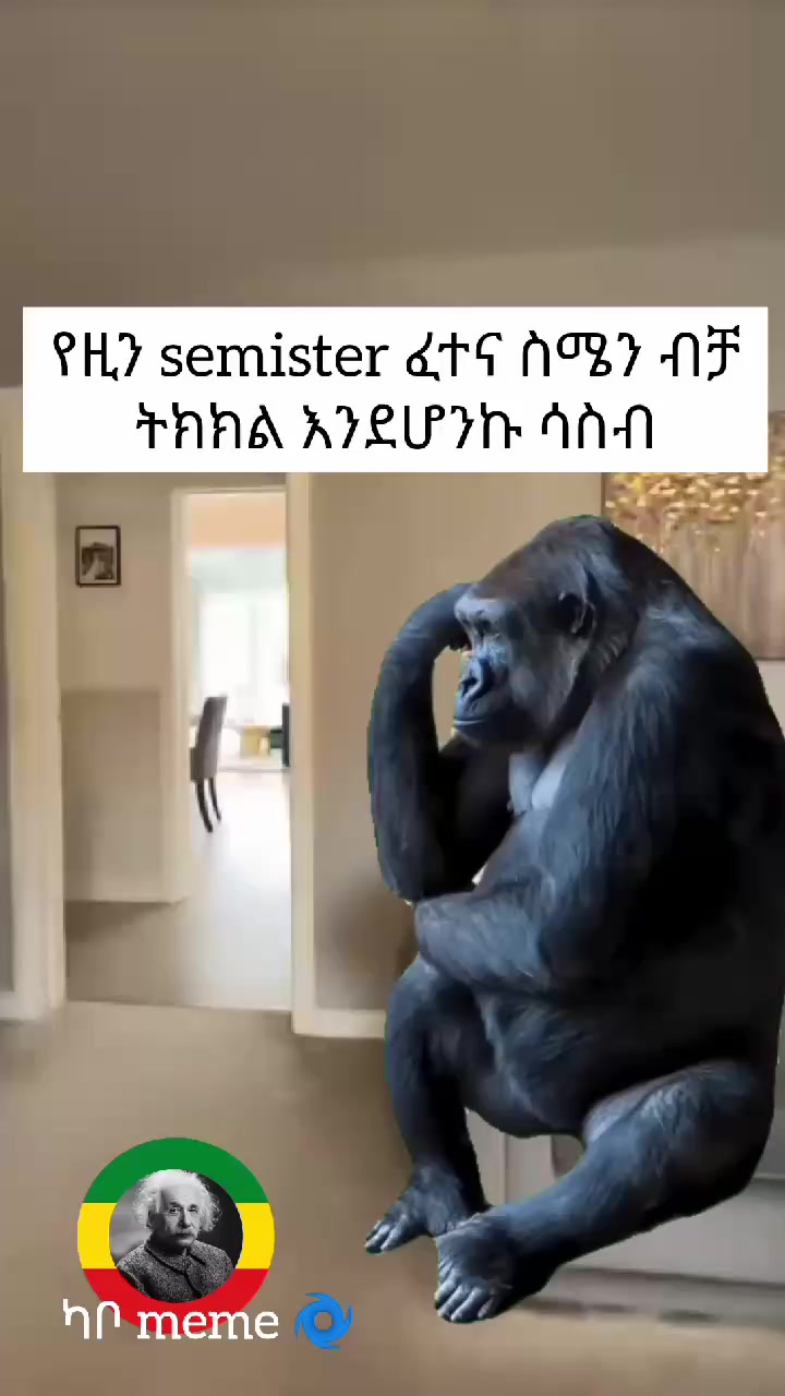 @ካቦ_meme🌀