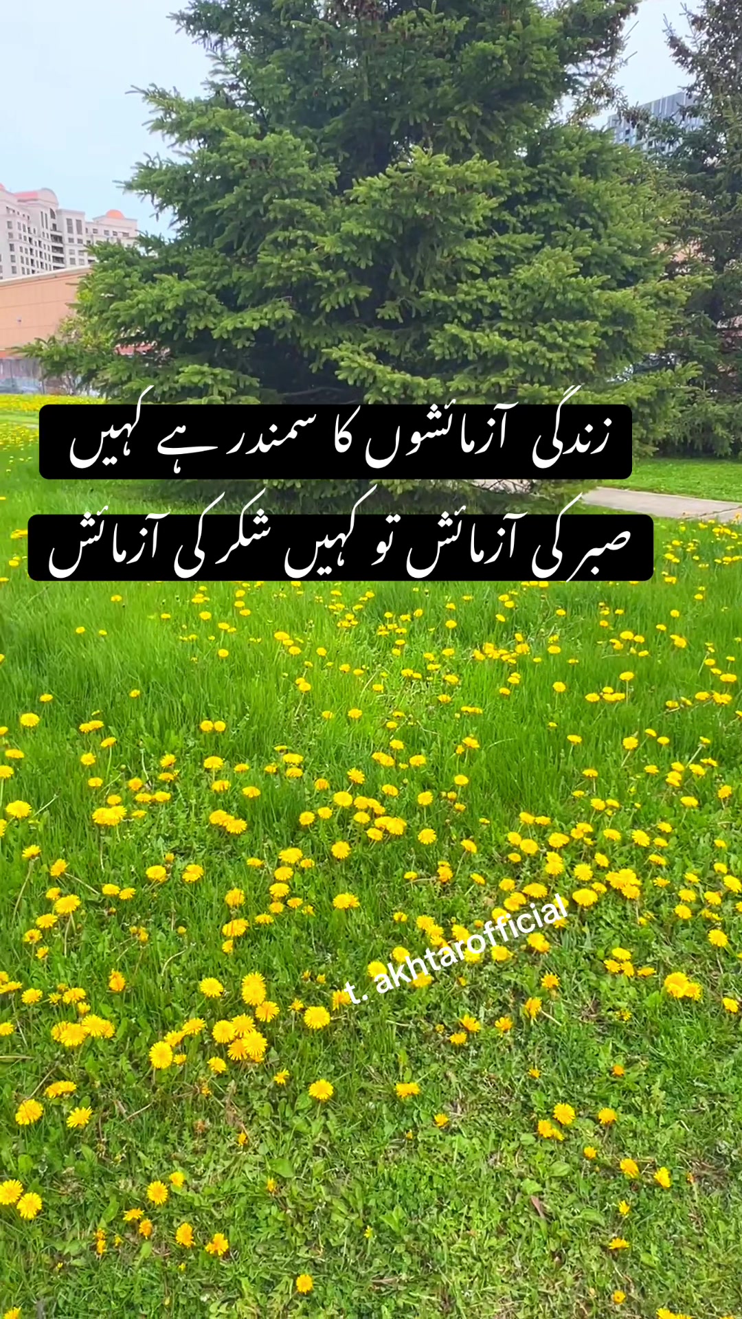 @T.Akhtar Official