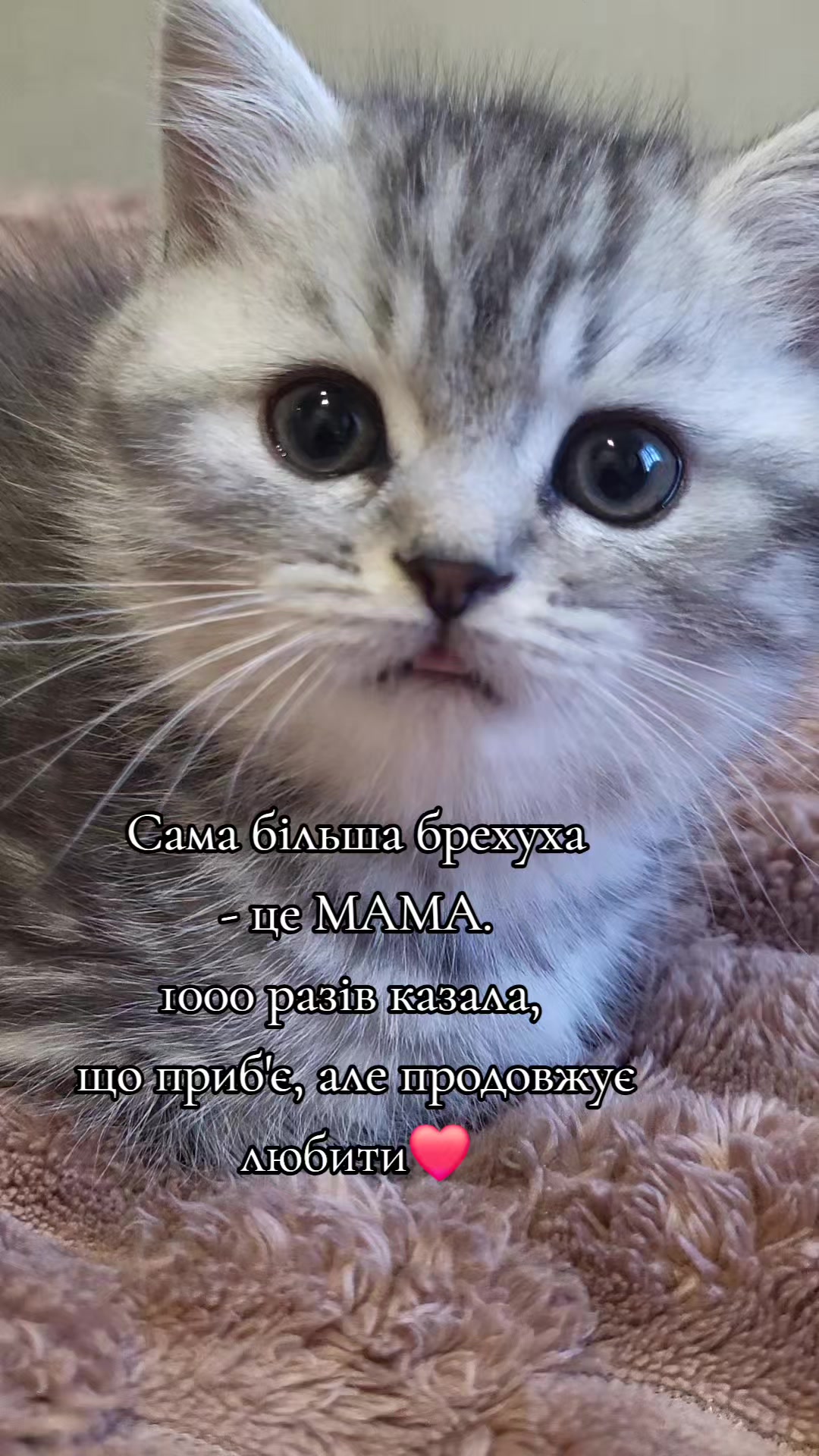 @Zorka
