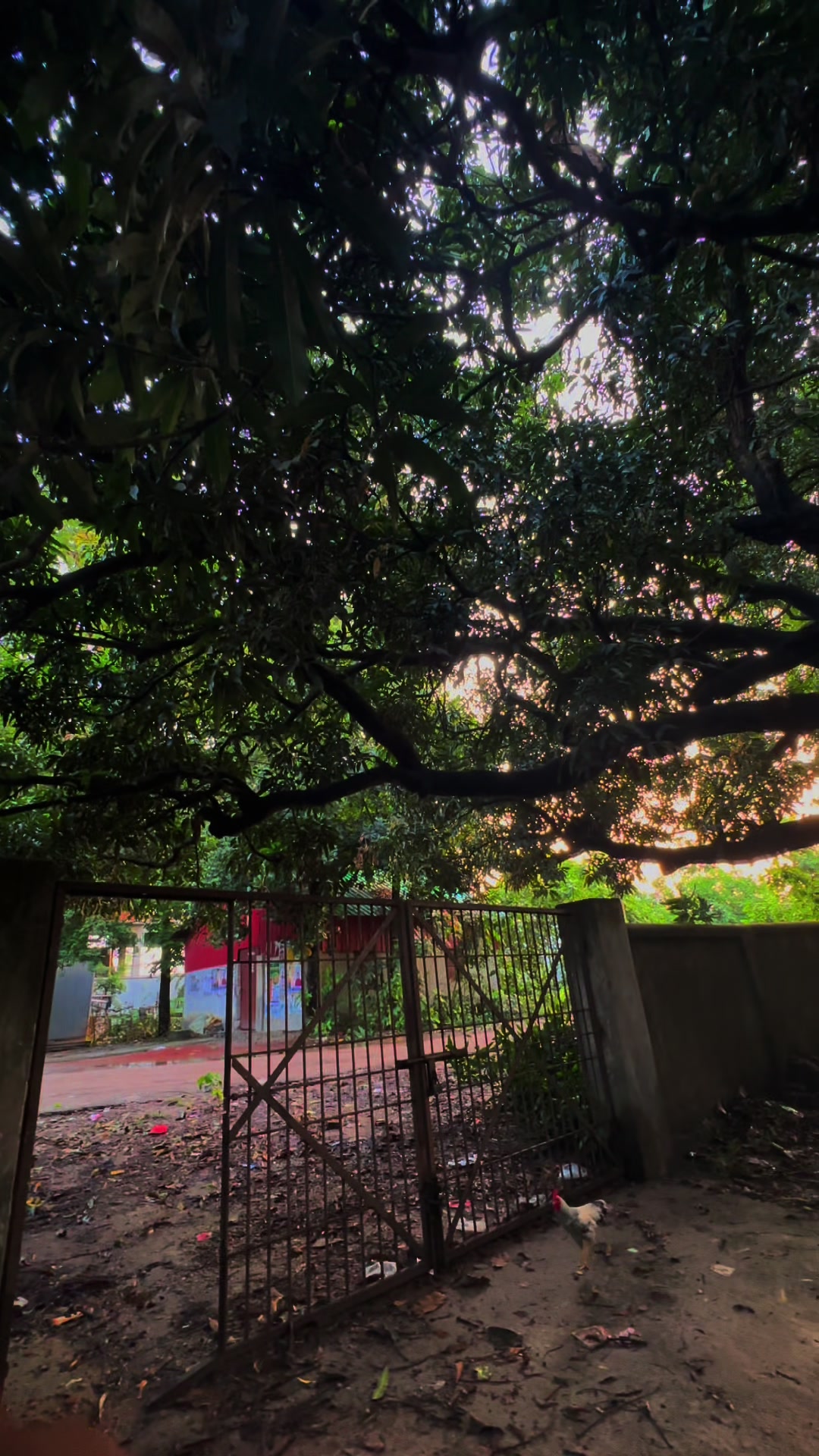 @ভেবাট😅❤️🩹